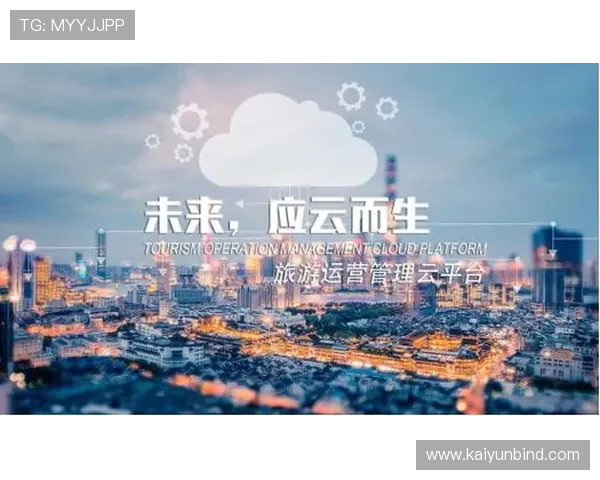 开云官网入口页面加载缓慢的原因分析及优化建议，提升用户访问体验的实用技巧